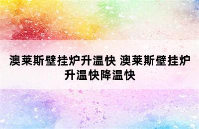 澳莱斯壁挂炉升温快 澳莱斯壁挂炉升温快降温快